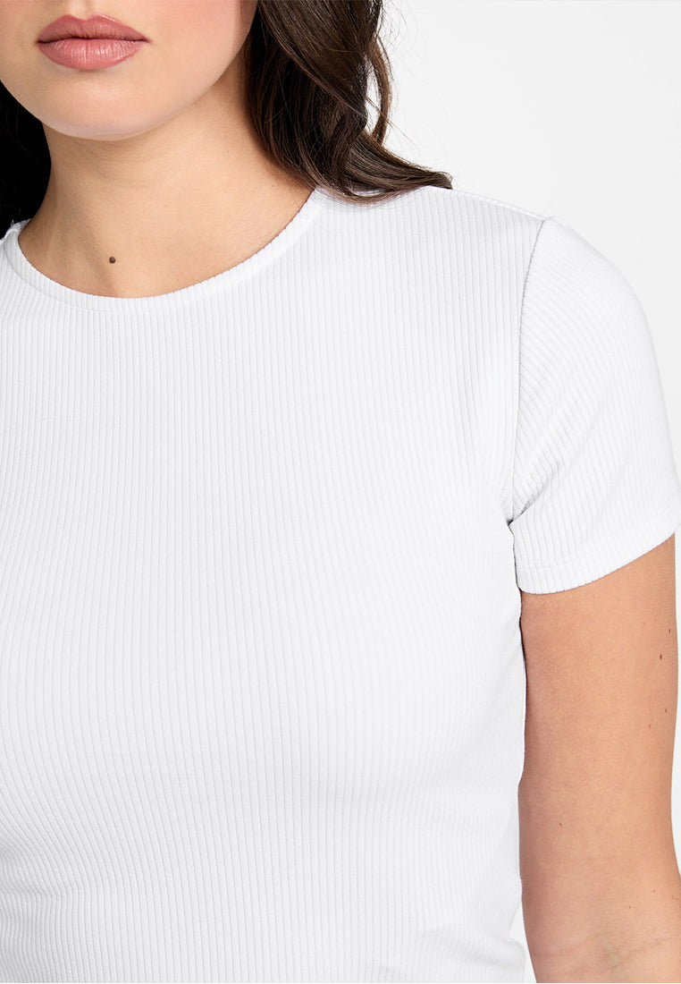 Shortsleeves Crewneck Terra Rib Top