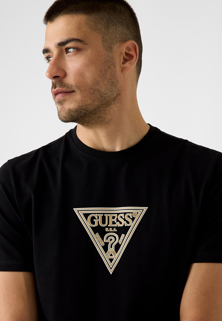Crewneck Shortsleeves Mid Triangle Hd Print Tee