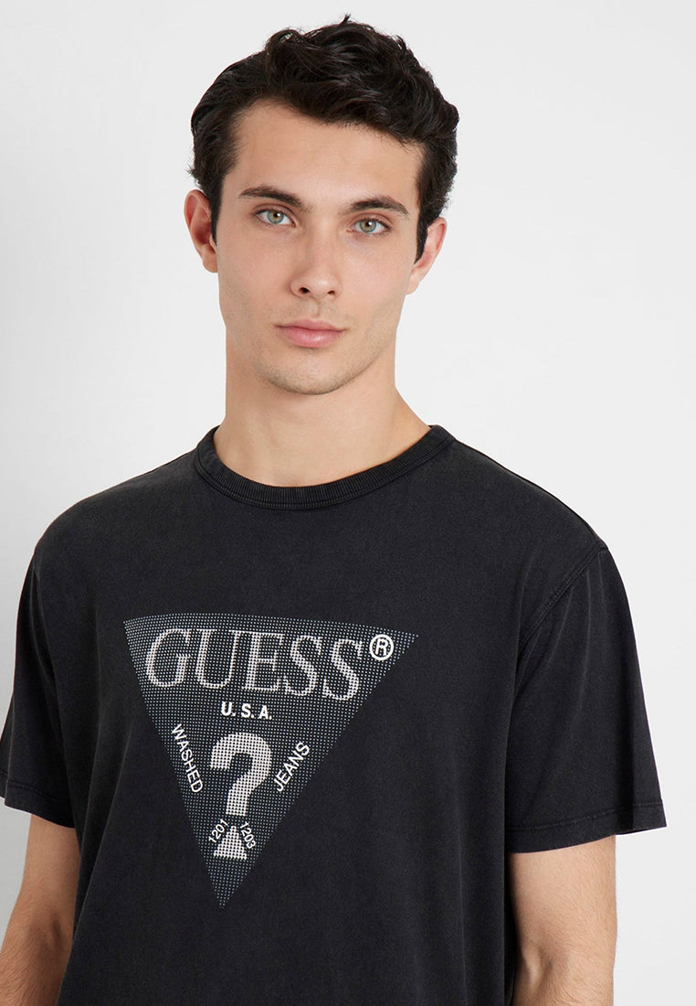 Treated Triangle Tee