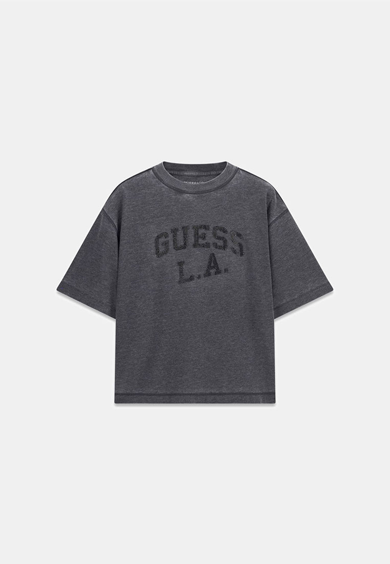 Shortsleeves Crewneck Burnout Oversize Tee