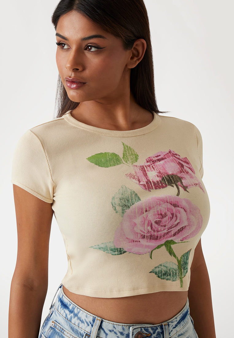 Shortsleeves Vintage Rose Fitted Rib Tee